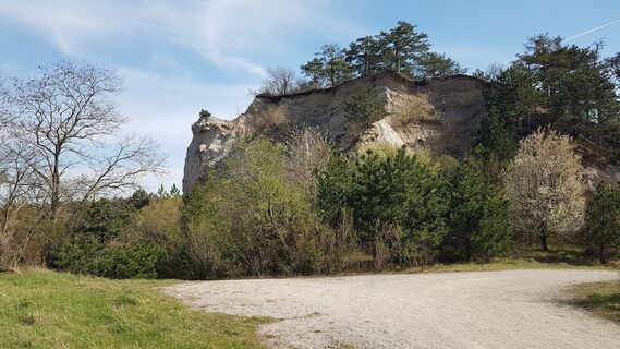 Fotografia z Bernard na trase