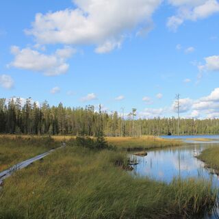 Stege und Fluss in Salla