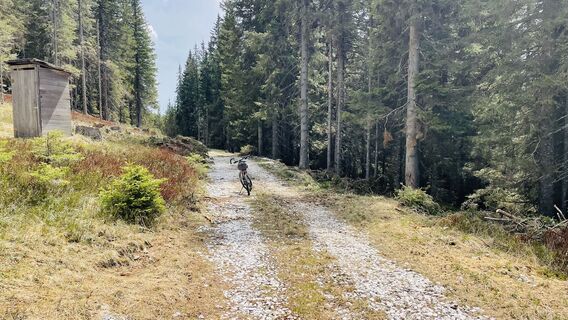 Foto von Heinz Martinz entlang der Tour