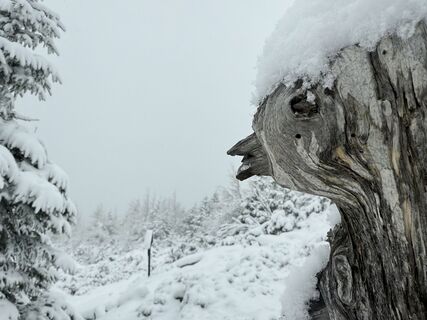 Photo de Dani Geiger / Natur_erleben_dg le long du parcours