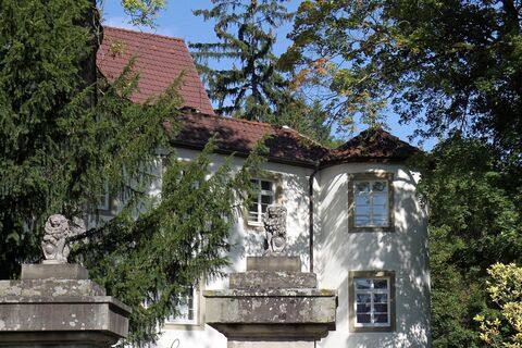 Schloss in Riet