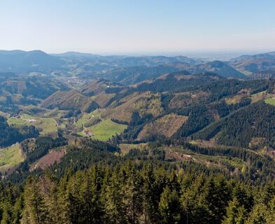 Panoramaaussicht vom Buchkopfturm - Berge, Wald, Wiesen, Täler und vereinzelte Höfe und Häuser.