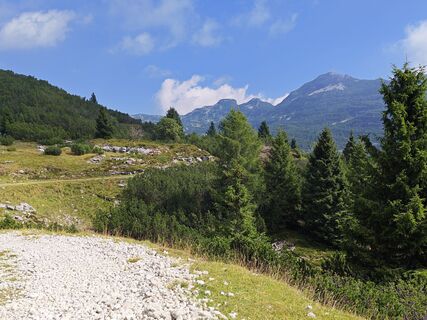Photo de Lodovica Vecchi le long du parcours