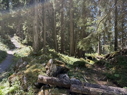Foto von Marco Rodzynek 2 entlang der Tour