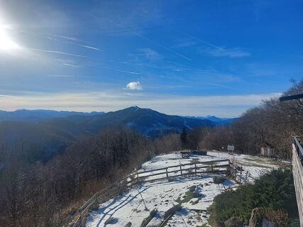 Foto von Karin Svozil entlang der Tour