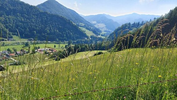 Großraming Rotstein Blick auf Floesserdorf