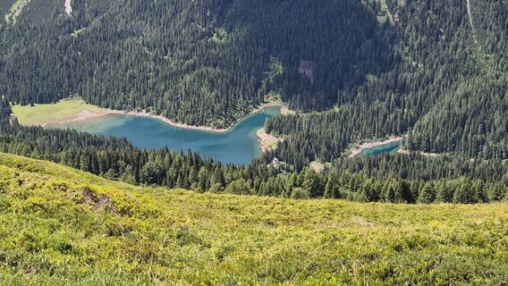 Fotografija s spletne strani Cilli Waldhof na poti