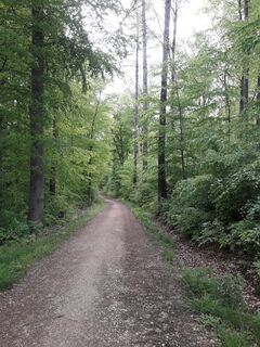 Zemljevid