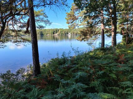 Fotografia z Christian Jakobsen na trase