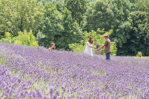 Lavendelgut Bad Waltersdorf