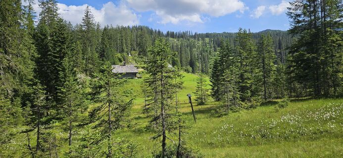Zdjęcie z Johann Schallinger wzdłuż trasy