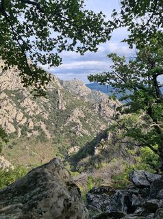 Foto da Wolfram Bechtel Ma lungo il tour