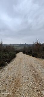 Fotografija s spletne strani Davor  Umag City Croatia.?? na poti