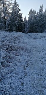 Fotografie z der heilige geist na trase