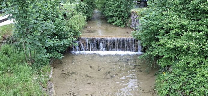 Photo de Stefan54 le long du parcours