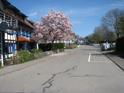 Uferstraße in Hemmenhofen