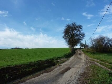 Gemütlicher Weg