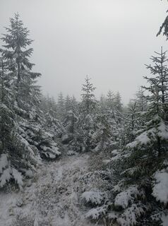 Foto de Daniel Kremiec a lo largo del recorrido
