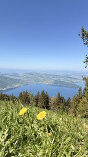 Foto von Andrea 25 entlang der Tour