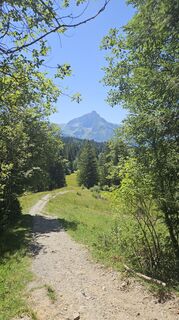 Foto von Daniela Lindau entlang der Tour