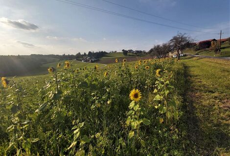 Ausblick auf der Sonnentour in der Oststeiermark