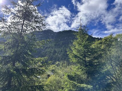 Fotografija s spletne strani Norbert Herbig na poti