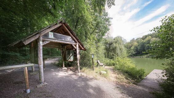 Waldfühlpfad am Jägersee | Eppingen | HeilbronnerLand