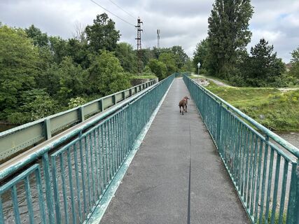 Zemljevid