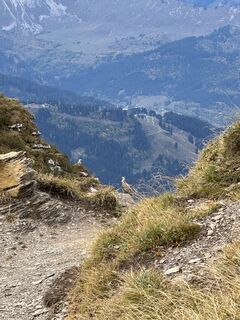 Photo de Niels Kooijman le long du parcours