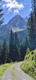 Fotografija s spletne strani David Bubenheim na poti