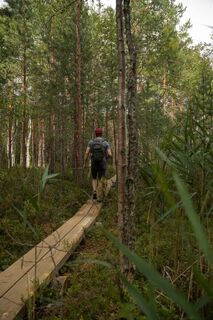 Stege über dem Paistjärvi-See