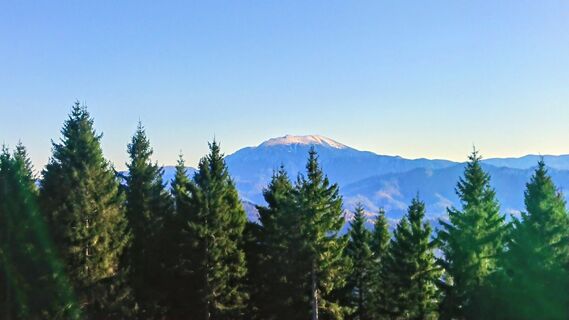 Fotografia z Manfred Steinböck na trase