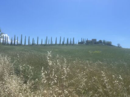 Fotografia z Giulio Vannini na trase