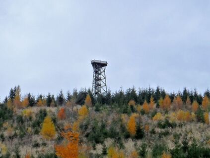 Aussichtsplattform am Damberg