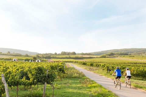 Radeln durch das Weinviertel
