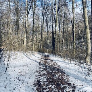 Foto de Bacskai János a lo largo del recorrido