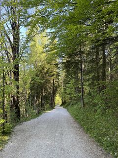 Foto von Jürgen Clement entlang der Tour