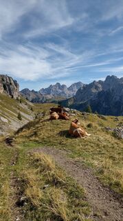 Fotografie z oscarpette82 na trase