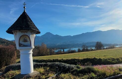 Foto de Claudia Kanalz a lo largo del recorrido