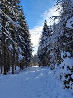 Foto von Daniela König 1 entlang der Tour