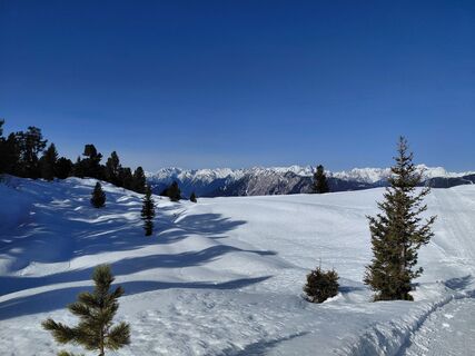 Photo de Sabine Steuxner le long du parcours
