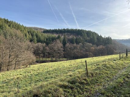Fotografie z Sascha Marx na trase
