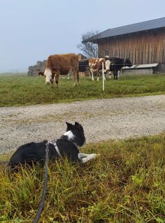 Foto von Henk de Vries entlang der Tour
