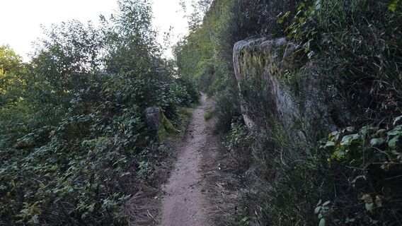 Zdjęcie z Katja Senkel wzdłuż trasy