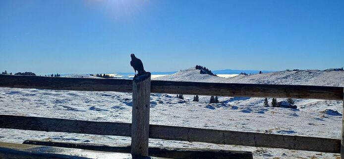 Foto von Janez Perko entlang der Tour