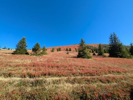 Fotografie z Lisi Krainer na trase