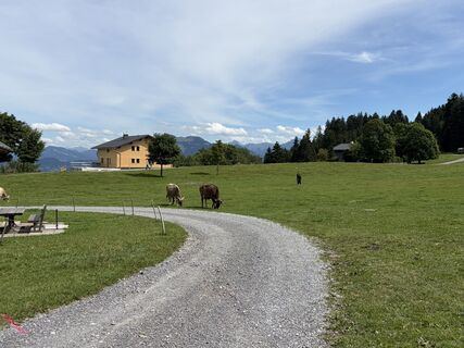 Foto von Dóra Halász 1 entlang der Tour