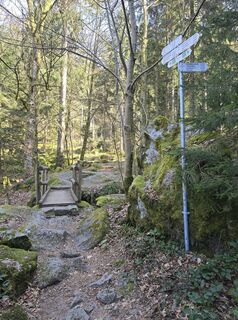 Photo de Michel Kennel le long du parcours