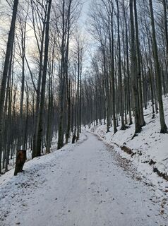 Photo de Daniel Kremiec le long du parcours