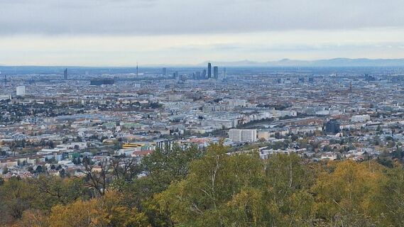 Foto von Regina Fleischmann entlang der Tour